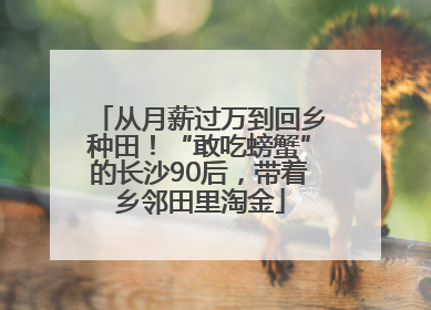 从月薪过万到回乡种田！“敢吃螃蟹”的长沙90后，带着乡邻田里淘金