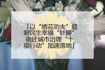 以“绣花功夫”缝制民生幸福“针脚” 宿迁城市治理“十项行动”加速落地