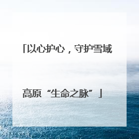 以心护心，守护雪域高原“生命之脉”