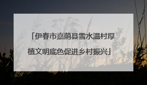 伊春市嘉荫县雪水温村厚植文明底色促进乡村振兴