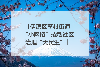 伊滨区李村街道 “小网格”撬动社区治理“大民生”