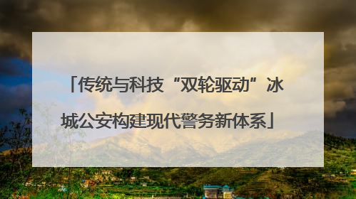 传统与科技“双轮驱动”冰城公安构建现代警务新体系