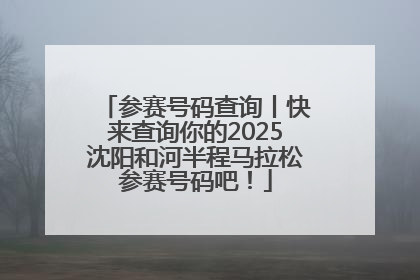 参赛号码查询丨快来查询你的2025沈阳和河半程马拉松参赛号码吧！