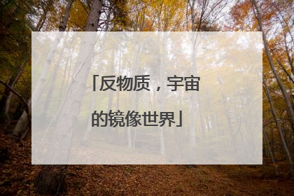 反物质，宇宙的镜像世界