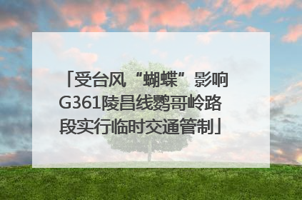 受台风“蝴蝶”影响 G361陵昌线鹦哥岭路段实行临时交通管制