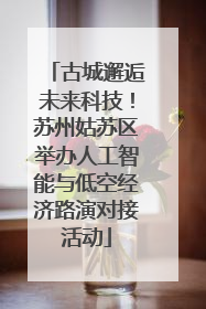 古城邂逅未来科技！苏州姑苏区举办人工智能与低空经济路演对接活动