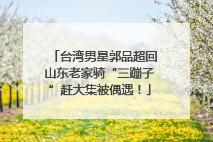台湾男星郭品超回山东老家骑“三蹦子”赶大集被偶遇！