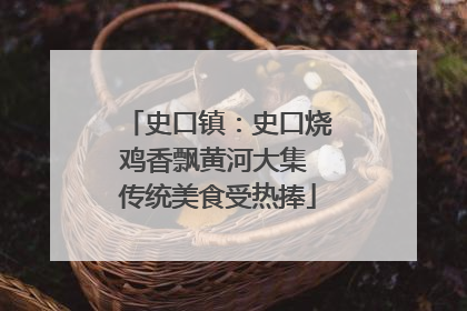 史口镇：史口烧鸡香飘黄河大集 传统美食受热捧