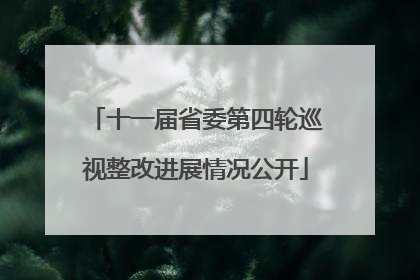 十一届省委第四轮巡视整改进展情况公开