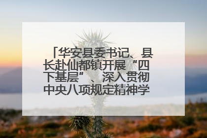 华安县委书记、县长赴仙都镇开展“四下基层”、深入贯彻中央八项规定精神学习教育工作调研