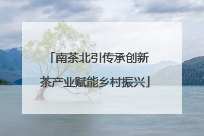 南茶北引传承创新 茶产业赋能乡村振兴