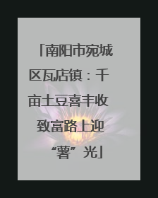 南阳市宛城区瓦店镇：千亩土豆喜丰收 致富路上迎“薯”光