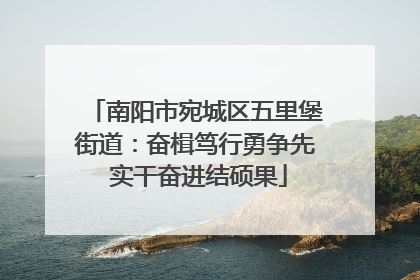 南阳市宛城区五里堡街道：奋楫笃行勇争先 实干奋进结硕果