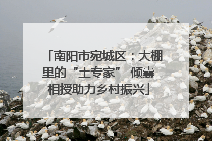 南阳市宛城区：大棚里的“土专家” 倾囊相授助力乡村振兴