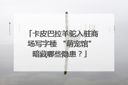卡皮巴拉羊驼入驻商场写字楼 “萌宠馆”暗藏哪些隐患？