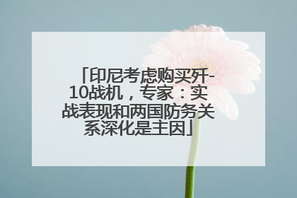 印尼考虑购买歼-10战机，专家：实战表现和两国防务关系深化是主因