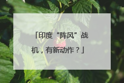 印度“阵风”战机，有新动作？