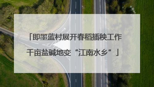 即墨蓝村展开春稻插秧工作 千亩盐碱地变“江南水乡”