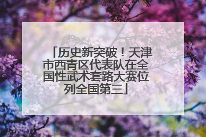 历史新突破！天津市西青区代表队在全国性武术套路大赛位列全国第三