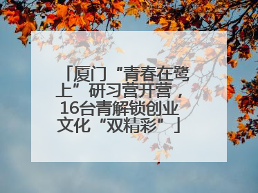 厦门“青春在鹭上”研习营开营，16台青解锁创业文化“双精彩”