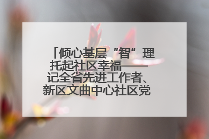 倾心基层“智”理 托起社区幸福——记全省先进工作者、新区文曲中心社区党委书记董世弘