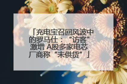 充电宝召回风波中的罗马仕：“访客”激增 A股多家电芯厂商称“未供货”