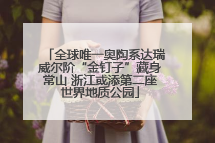 全球唯一奥陶系达瑞威尔阶“金钉子”藏身常山 浙江或添第二座世界地质公园