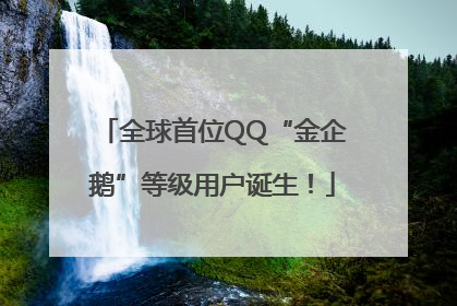全球首位QQ“金企鹅”等级用户诞生！