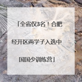 全省仅3名！合肥经开区两学子入选中国国少训练营