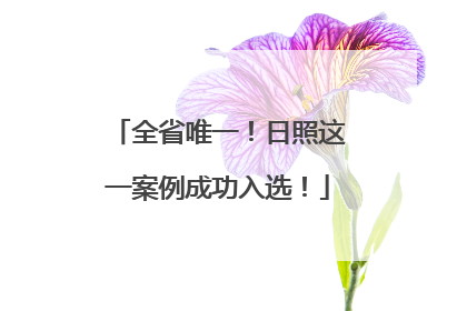 全省唯一！日照这一案例成功入选！