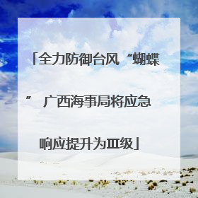全力防御台风“蝴蝶” 广西海事局将应急响应提升为Ⅲ级