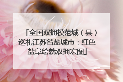 全国双拥模范城（县）巡礼江苏省盐城市：红色盐阜绘就双拥宏图