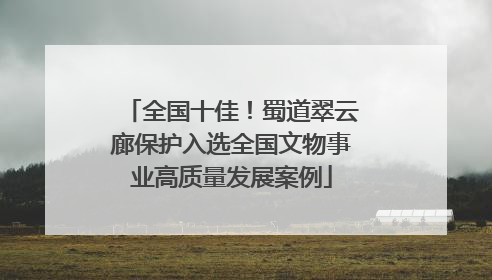 全国十佳！蜀道翠云廊保护入选全国文物事业高质量发展案例