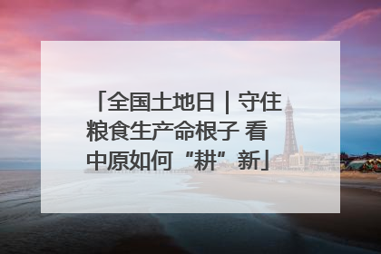全国土地日｜守住粮食生产命根子 看中原如何“耕”新