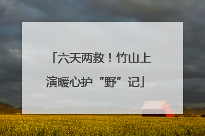 六天两救！竹山上演暖心护“野”记