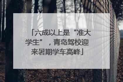 六成以上是“准大学生”，青岛驾校迎来暑期学车高峰