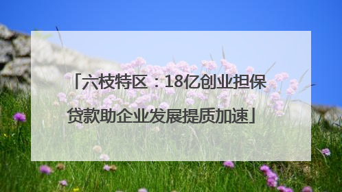 六枝特区：18亿创业担保贷款助企业发展提质加速