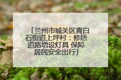 兰州市城关区青白石街道上坪村：修缮道路增设灯具 保障居民安全出行