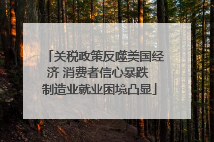 关税政策反噬美国经济 消费者信心暴跌 制造业就业困境凸显