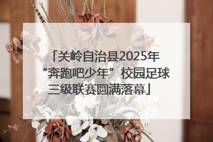 关岭自治县2025年“奔跑吧少年”校园足球三级联赛圆满落幕