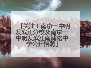 关注！南京一中明发滨江分校及南京一中明发滨江南浦路中学公开招聘