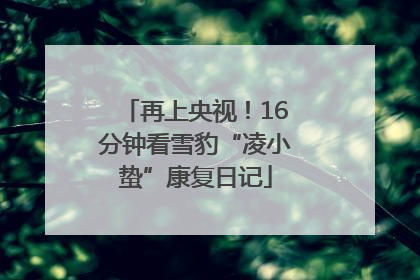 再上央视！16分钟看雪豹“凌小蛰”康复日记