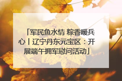 军民鱼水情 粽香暖兵心丨辽宁丹东元宝区：开展端午拥军慰问活动
