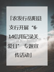 农发行岳阳县支行开展“6·14信用记录关爱日” 专题宣传活动