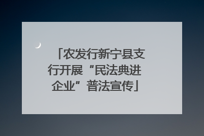 农发行新宁县支行开展“民法典进企业”普法宣传