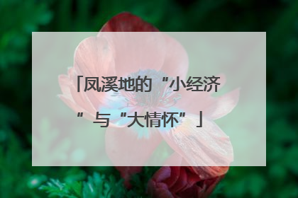 凤溪地的“小经济”与“大情怀”