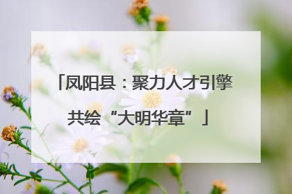 凤阳县：聚力人才引擎 共绘“大明华章”