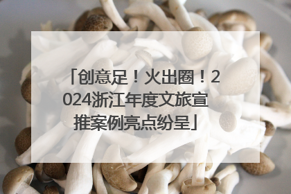 创意足！火出圈！2024浙江年度文旅宣推案例亮点纷呈