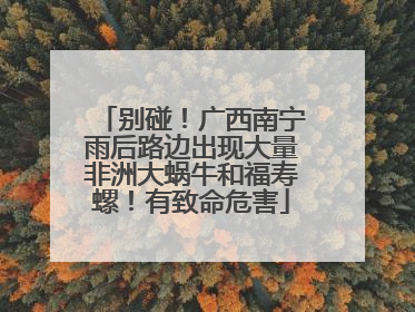 别碰！广西南宁雨后路边出现大量非洲大蜗牛和福寿螺！有致命危害
