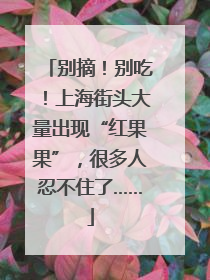 别摘！别吃！上海街头大量出现“红果果”，很多人忍不住了……